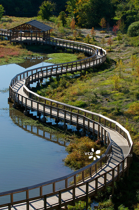 湿地人行道图片素材
