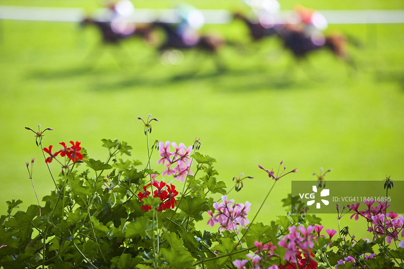 赛马日图片素材