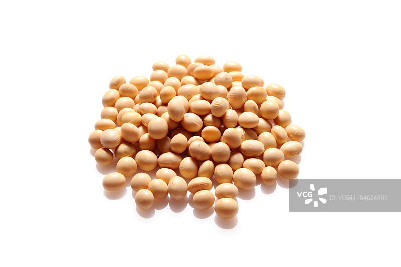 大豆图片素材