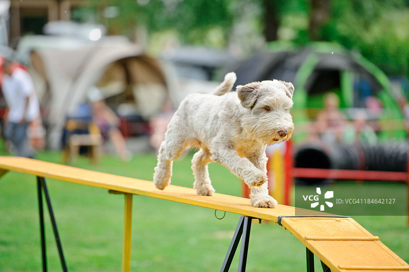 敏捷性图片素材