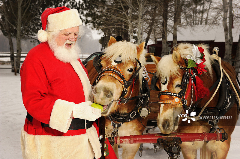 圣诞老人喂他的马队青苹果图片素材