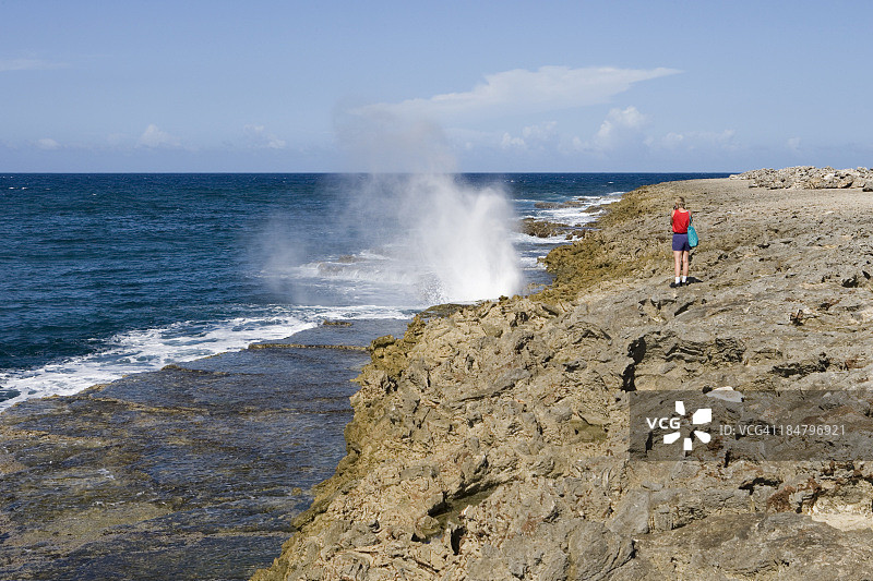 谢特博卡国家公园的喷水孔图片素材