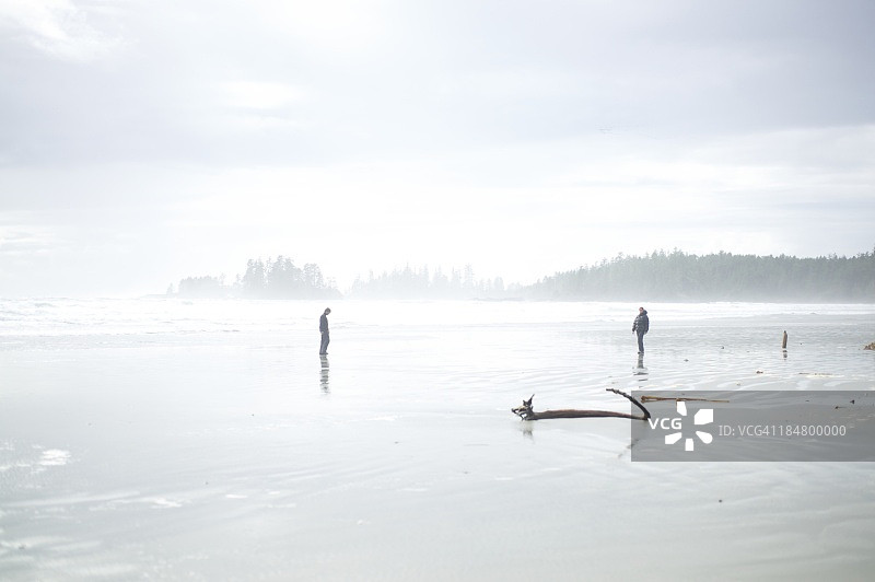 薄雾、水汽与阳光图片素材