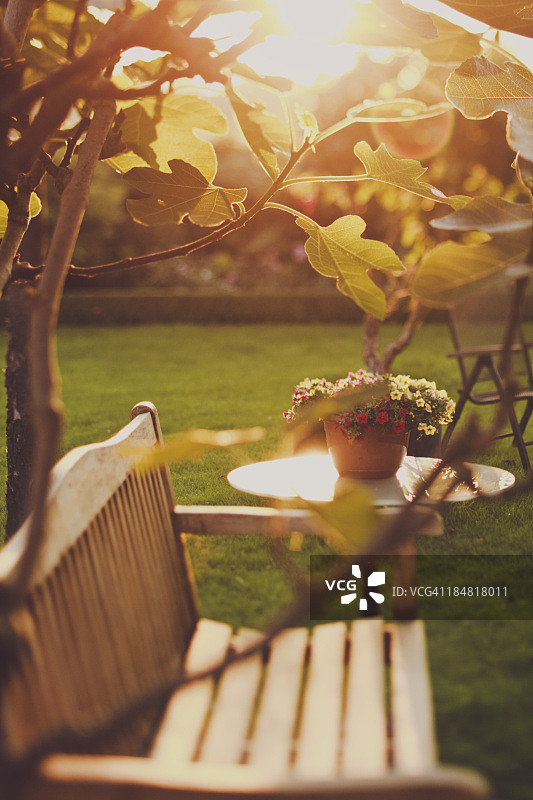 花园场景图片素材