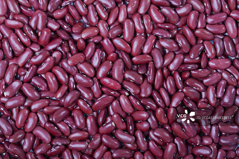 红腰豆图片素材