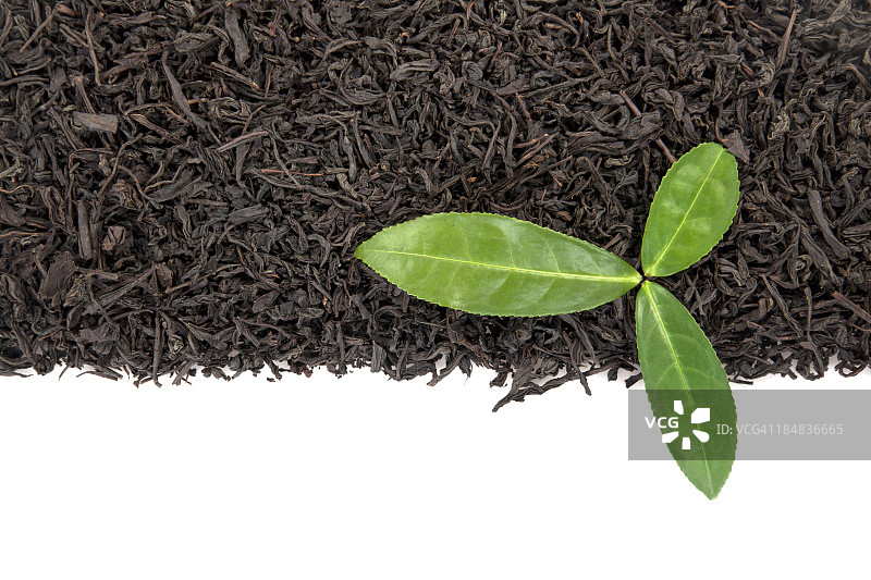 茶叶图片素材