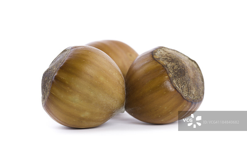 榛子图片素材