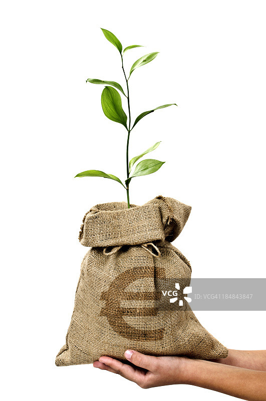 手持欧元摇钱树/钱袋图片素材