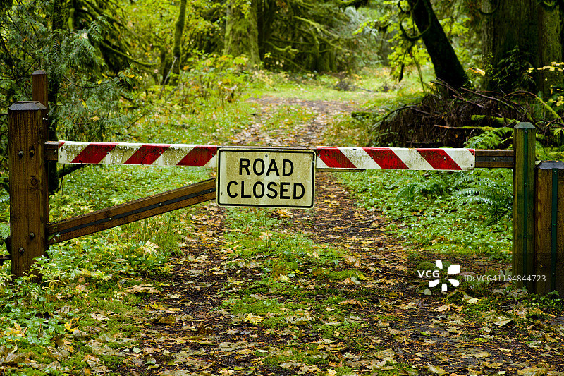 森林中的道路封闭标志图片素材