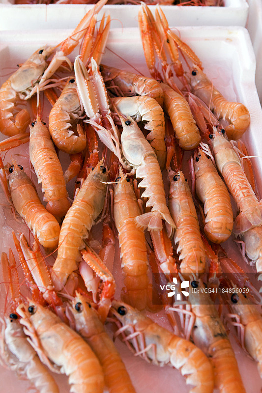 新鲜海螯虾图片素材