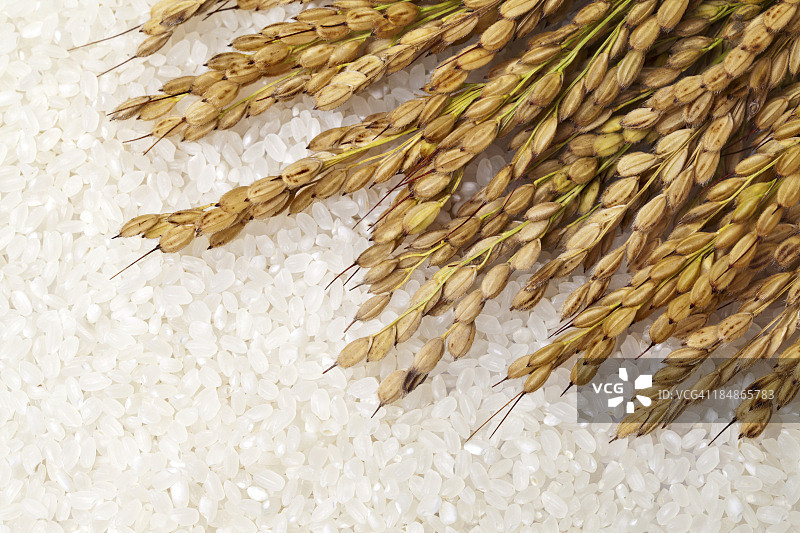 大米图片素材
