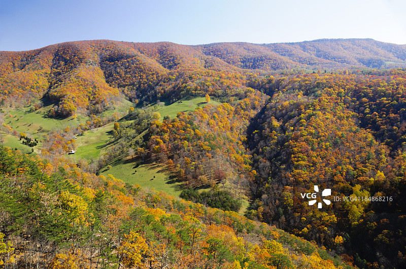 秋季的莫农加希拉国家森林图片素材