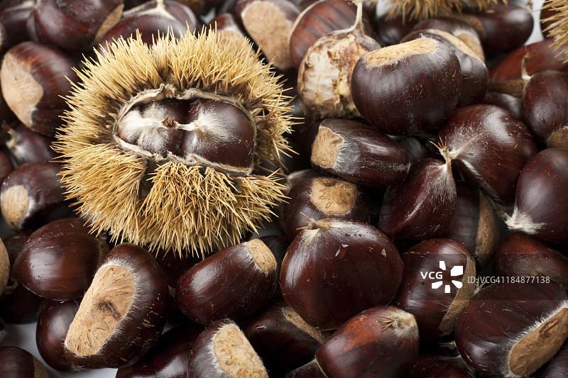 甜栗子图片素材