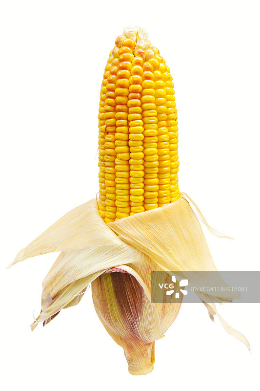 玉米图片素材