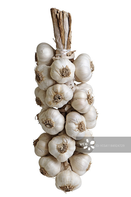 大蒜图片素材