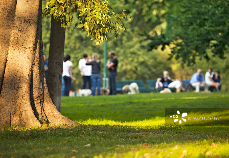 在城市公园的树木中放松身心的人群图片素材