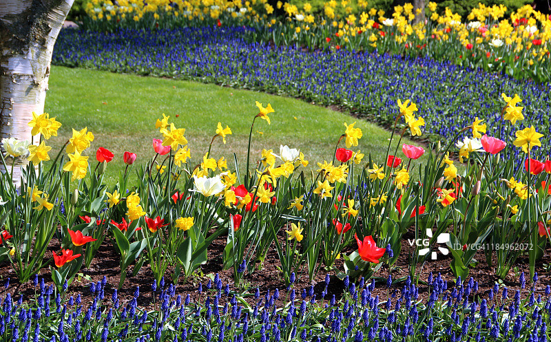 公园春景图片素材