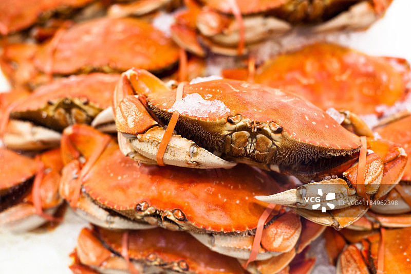 冰镇螃蟹图片素材