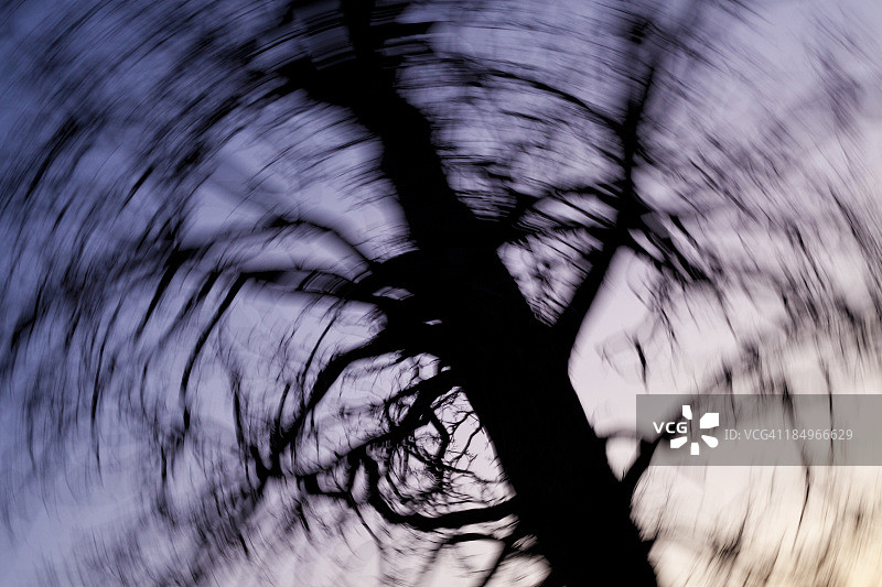 黄昏时一棵大树的模糊照片图片素材