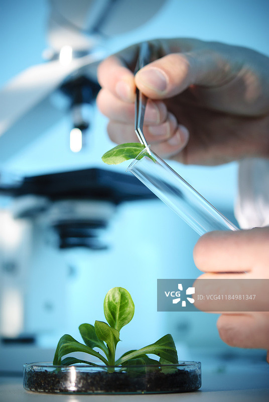 生物技术图片素材