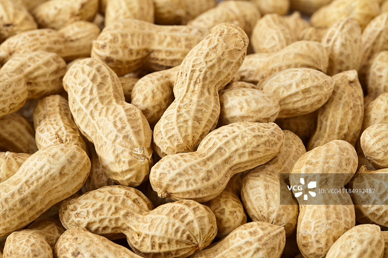 花生图片素材