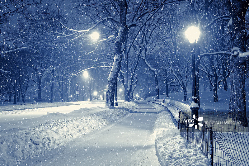 暴风雪夜景下的中央公园图片素材