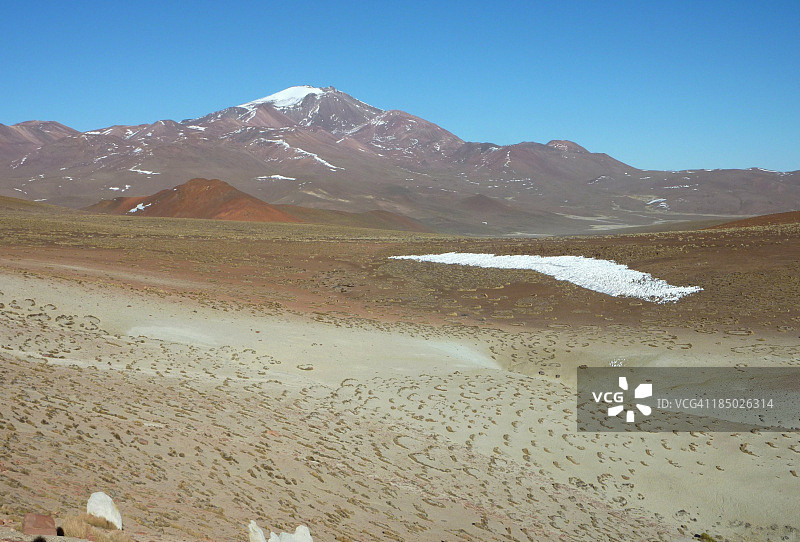 阿Altiplano高原上的草丛图片素材