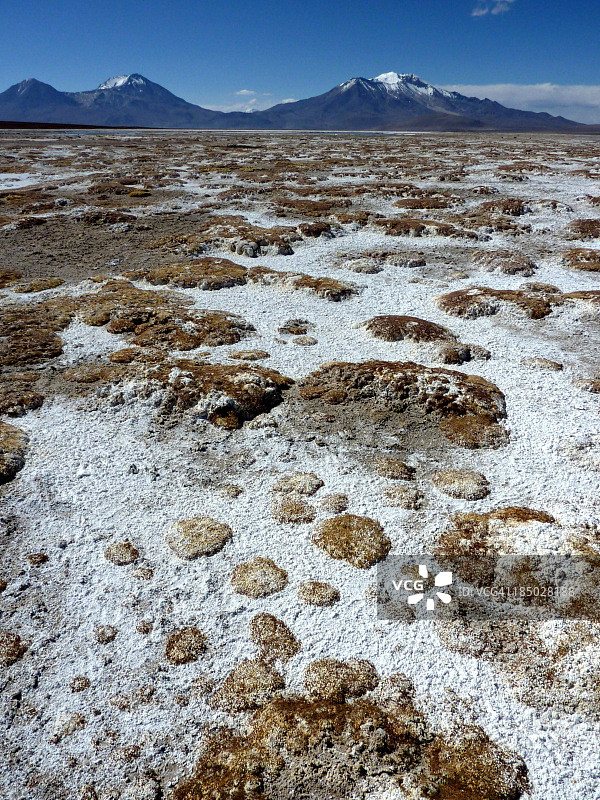 苏里雷盐湖图片素材