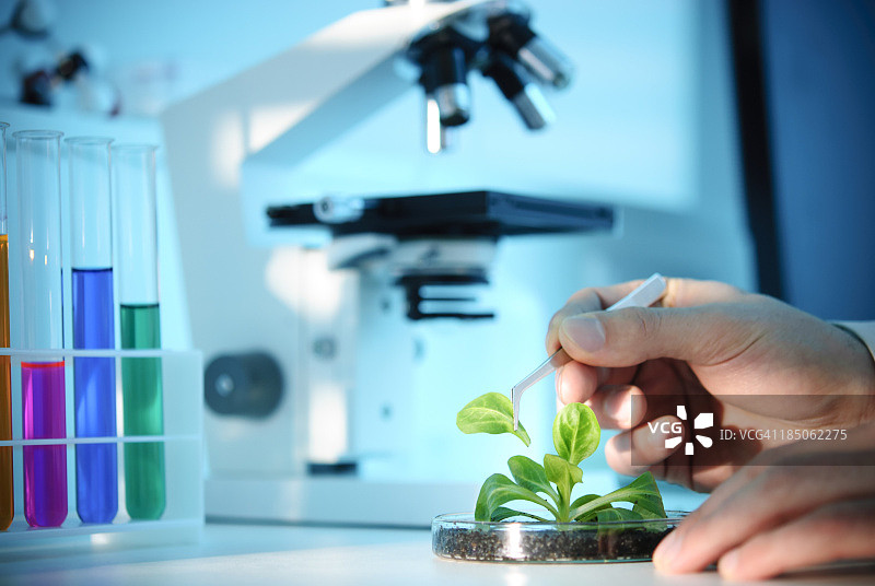 生物技术图片素材