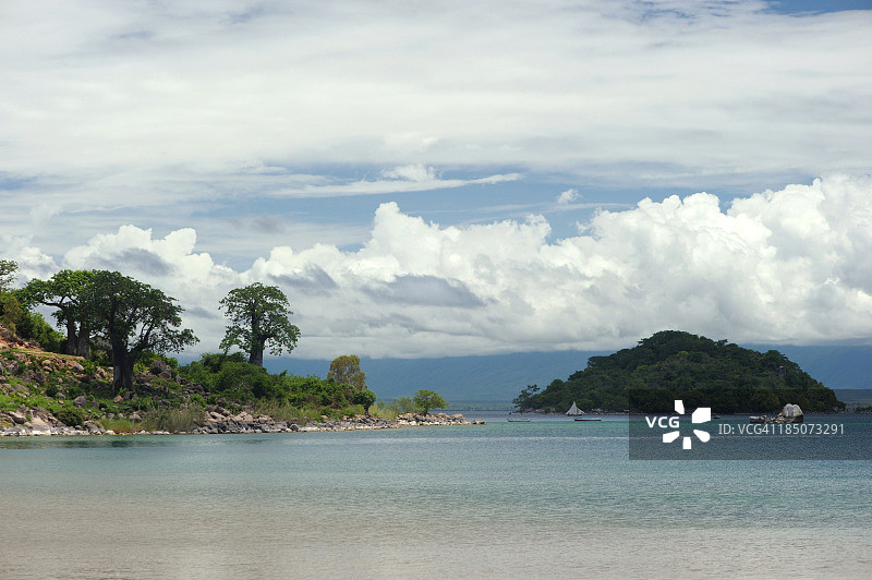 马拉维湖和猴面包树图片素材