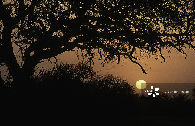 南非日出美景图片素材