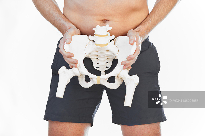 男性骨盆图片素材