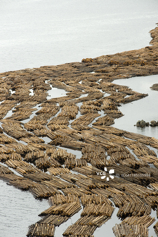 漂浮的木头图片素材