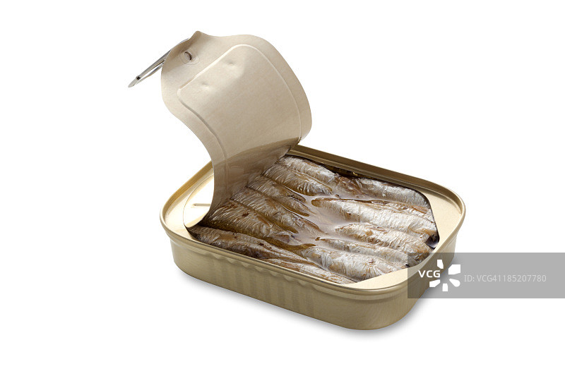 沙丁鱼图片素材