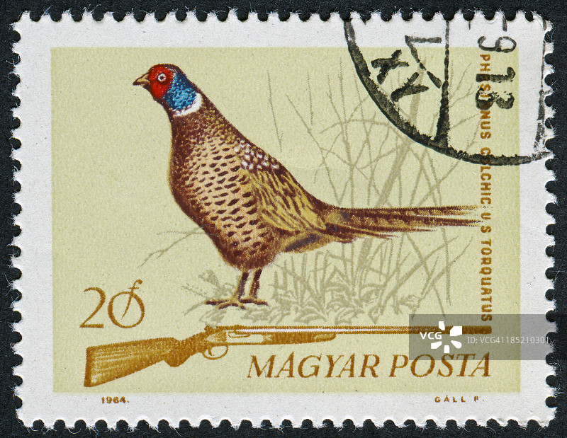 狩猎印章图片素材