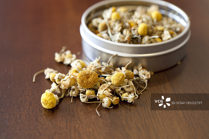 洋甘菊茶花图片素材