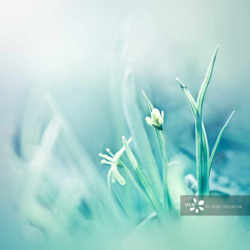 蓝色世界图片素材