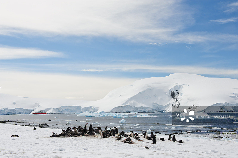 米克尔森港图片素材