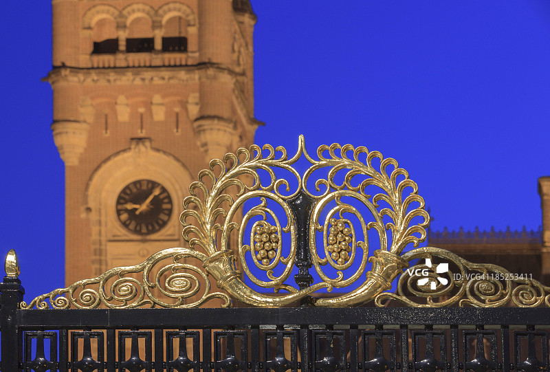 海牙黄昏时的和平宫图片素材