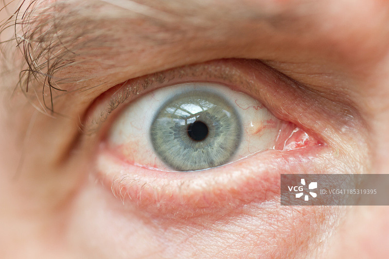 人类的眼睛图片素材