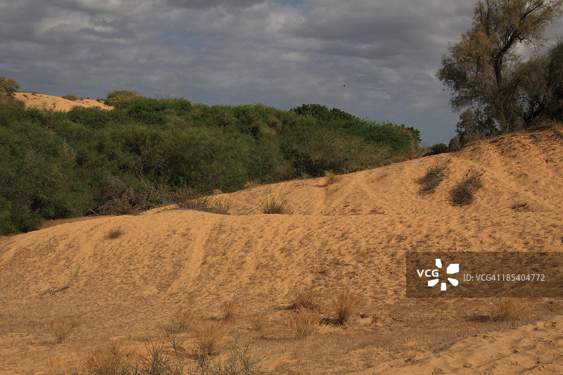 沙滩旅游图片素材