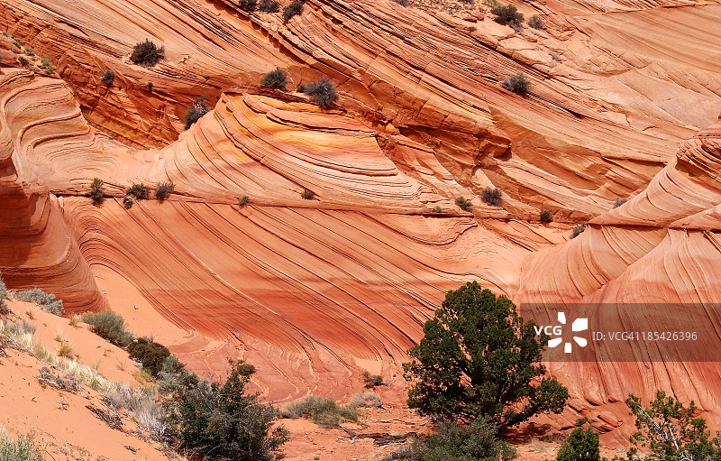 从沙丘到岩石的砂岩层图片素材