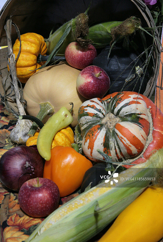 秋季丰收果蔬展示图片素材