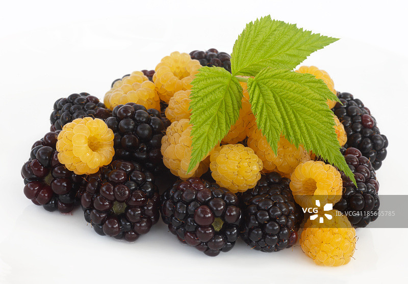 诱人的甜黄树莓和黑莓图片素材