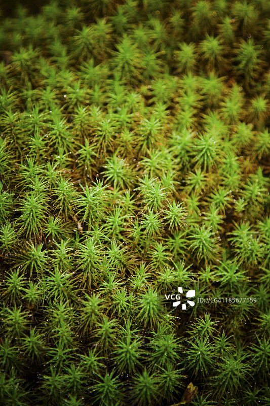 环境/自然图片素材