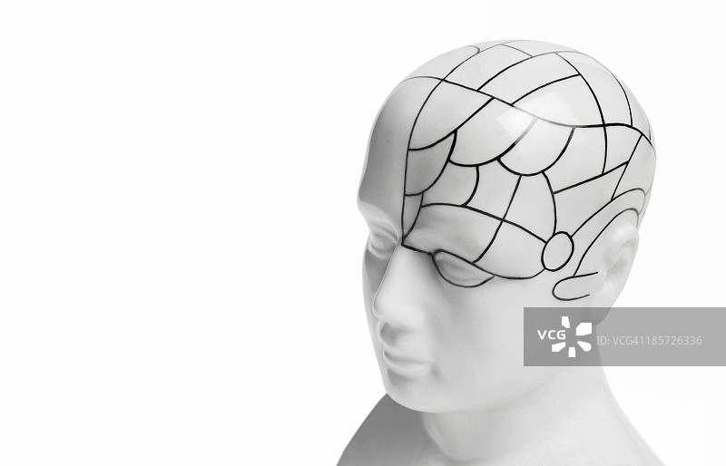 颅相学头部与复制空间图片素材