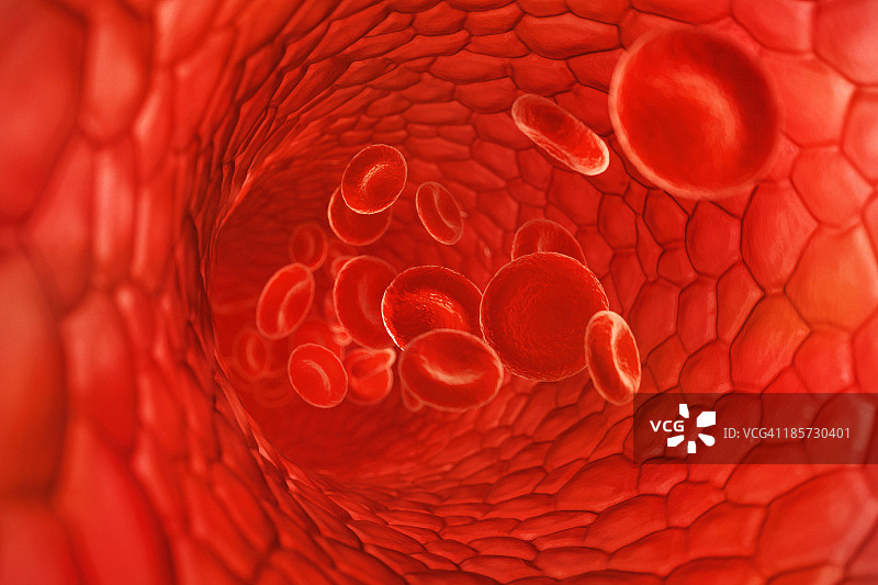 在血管中流动的血细胞图片素材