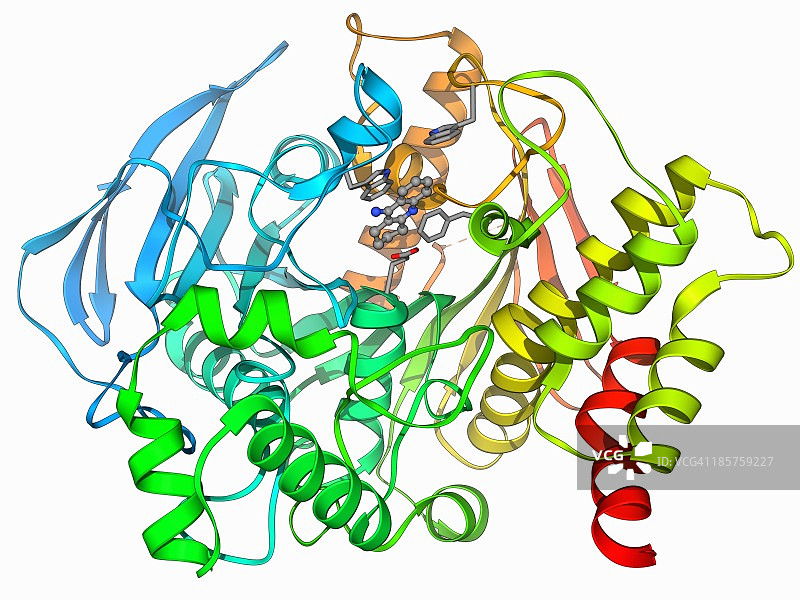 乙酰胆碱酯酶分子图片素材