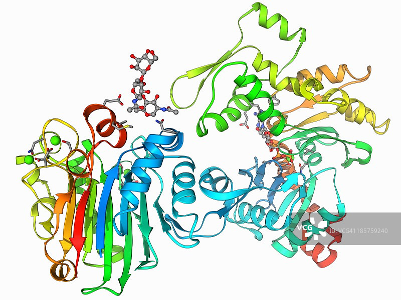 DNase I复合物分子模型图片素材