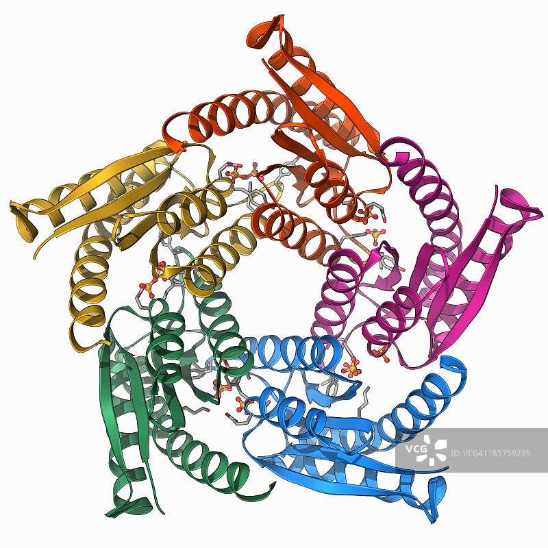 核黄素合酶分子图片素材